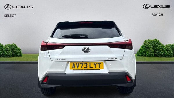 Used Lexus UX 2023 for sale - 76326239: Photo 7