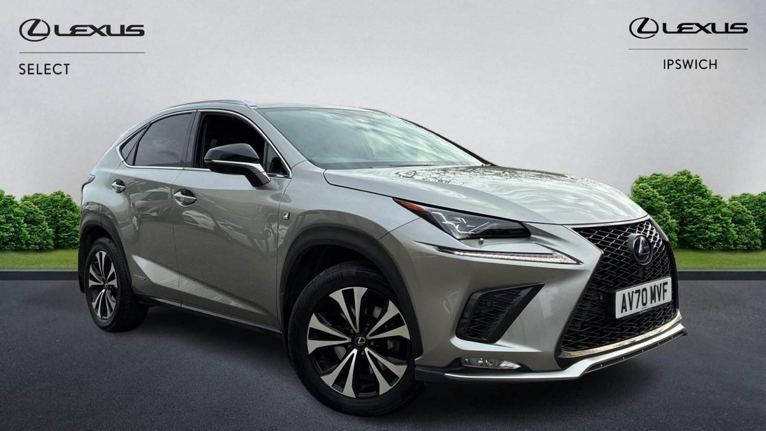 Used Lexus NX 2020 for sale - 76499731: Photo 1