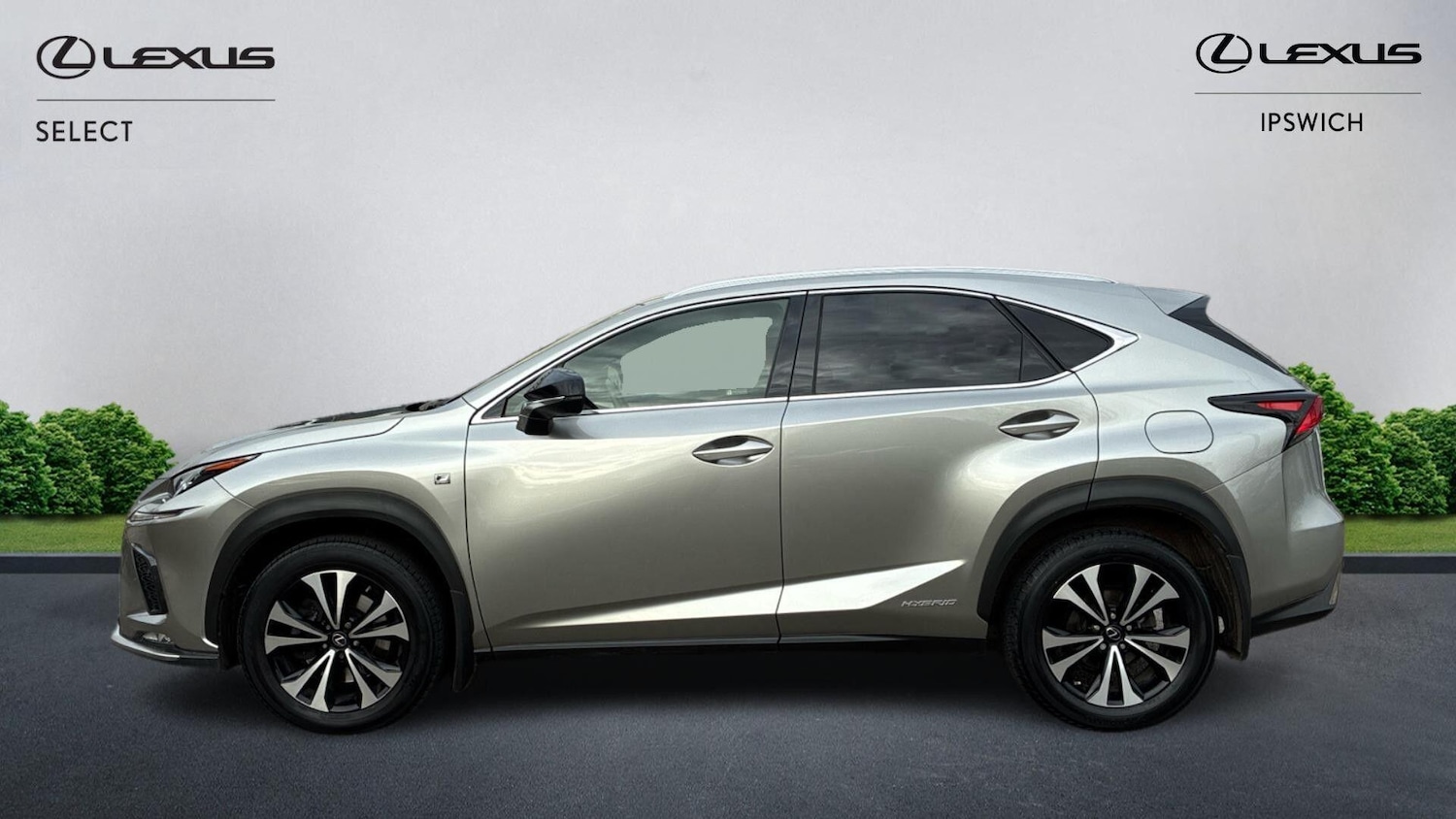 Used Lexus NX 2020 for sale - 76499731: Photo 5