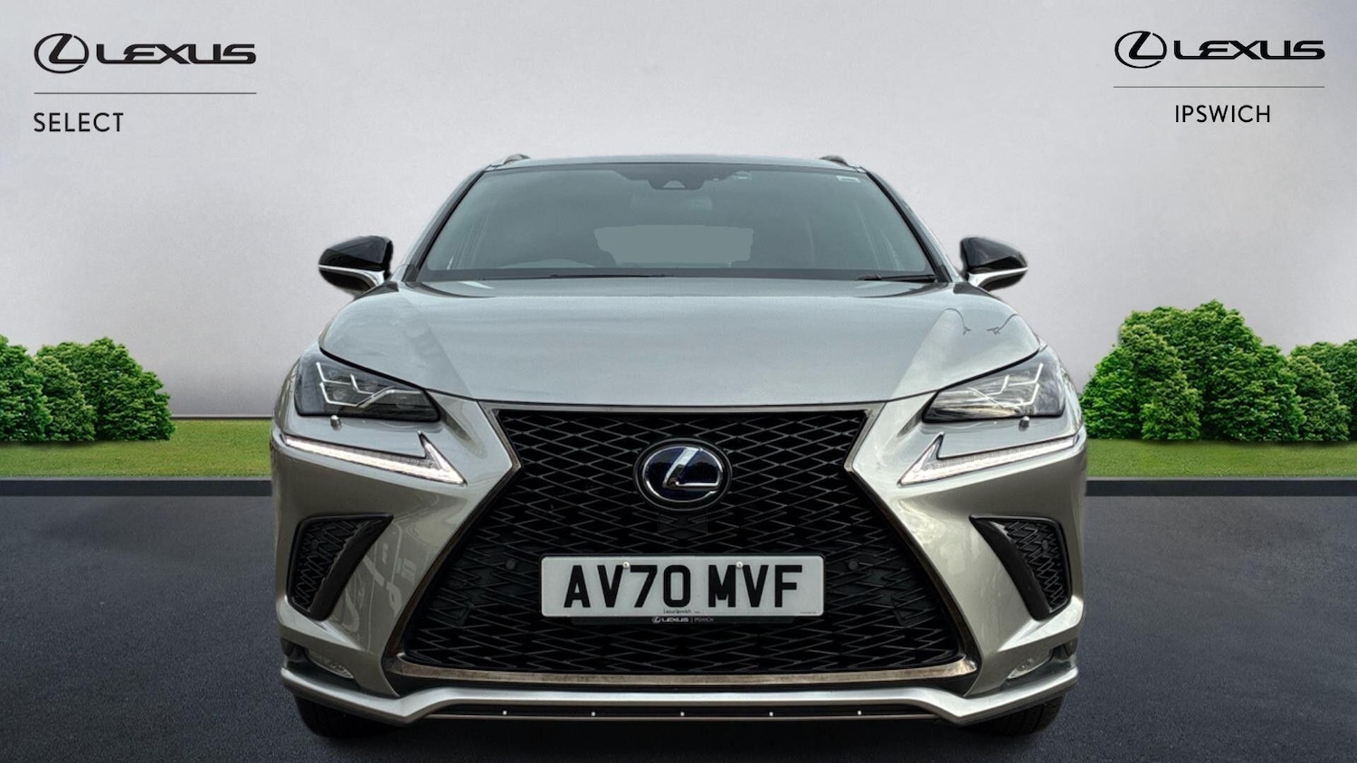 Used Lexus NX 2020 for sale - 76499731: Photo 6