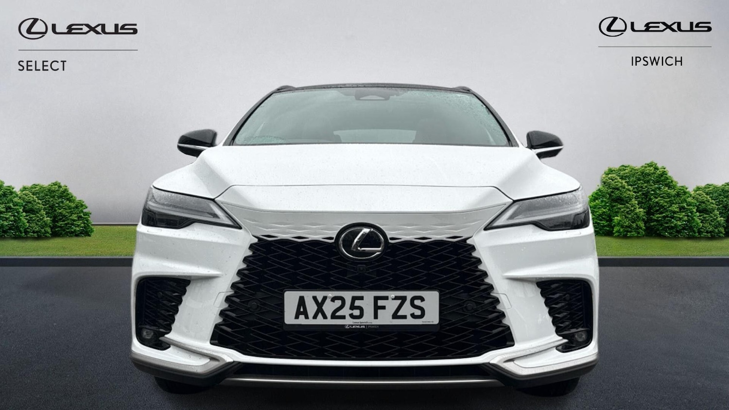 Used Lexus RX 2025 for sale - 77647091: Photo 6