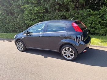 Used Fiat Punto 2017 for sale - 78997497: Photo