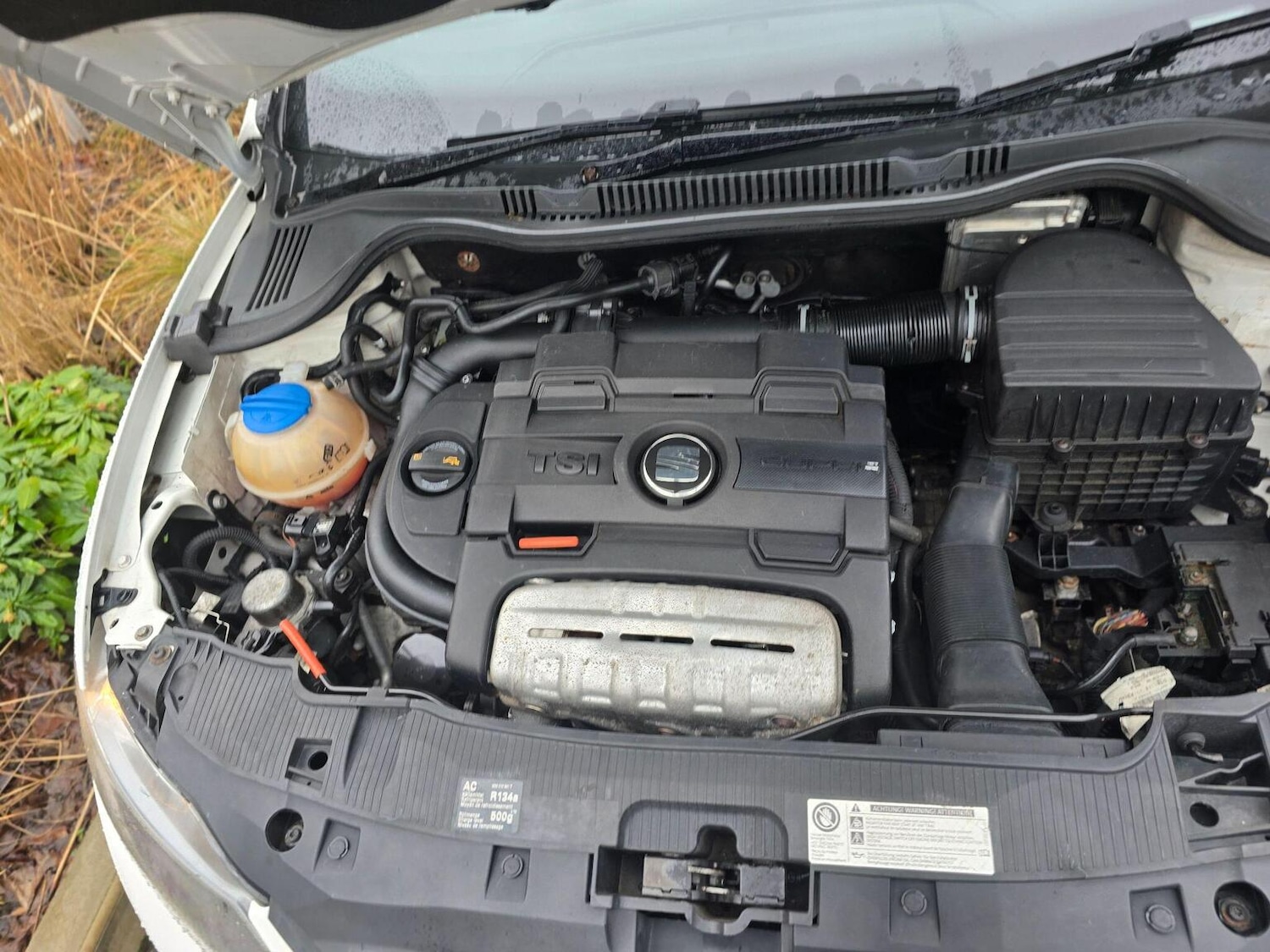 Used SEAT Ibiza 2010 for sale - 77494822: Photo 28