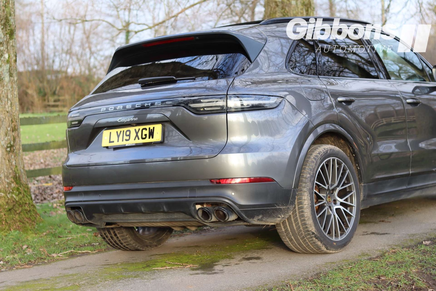 Used Porsche Cayenne 2019 for sale - 77558208: Photo 10