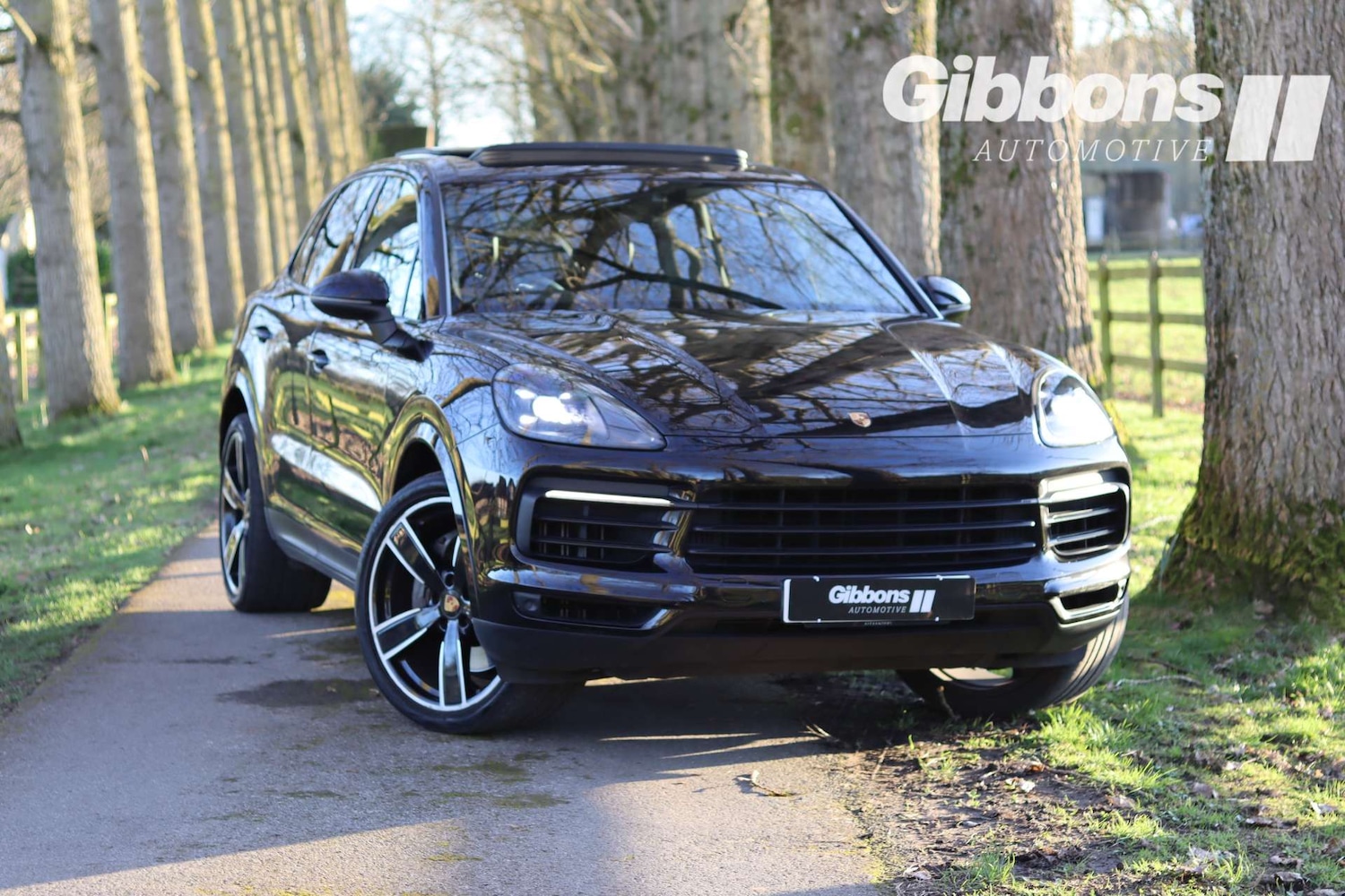 Used Porsche Cayenne 2020 for sale - 77655654: Photo 10
