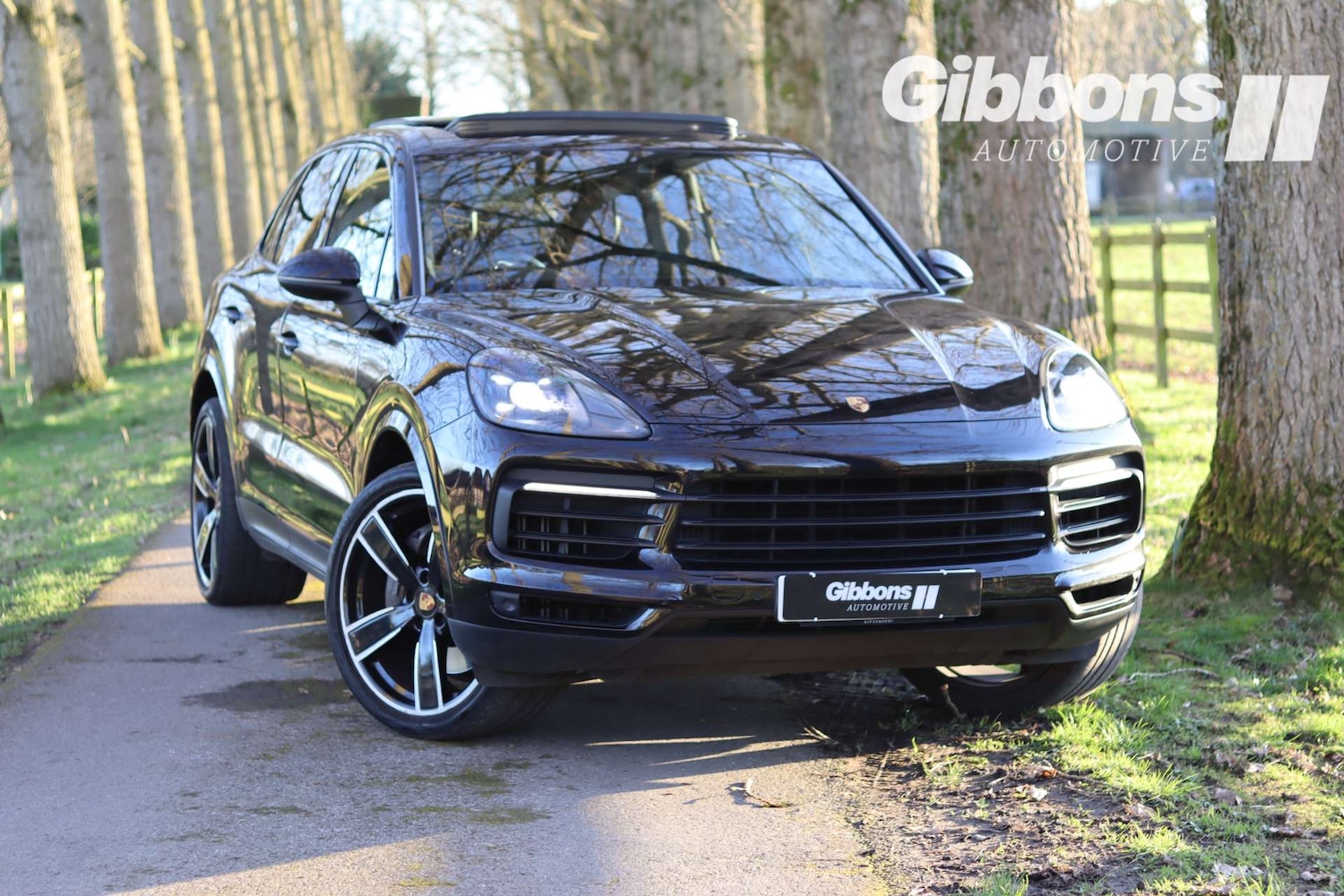 Used Porsche Cayenne 2020 for sale - 77655654: Photo 11