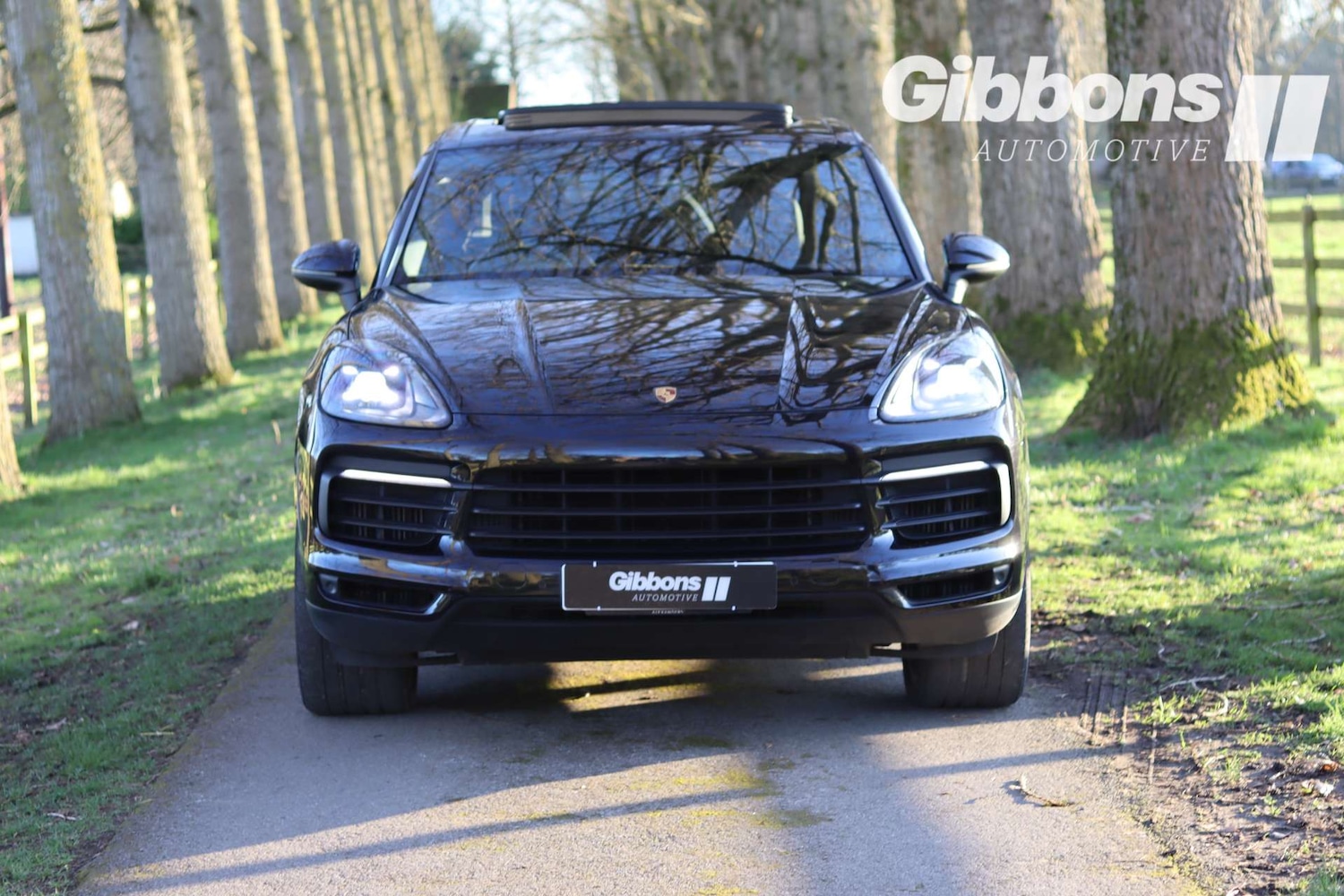 Used Porsche Cayenne 2020 for sale - 77655654: Photo 12