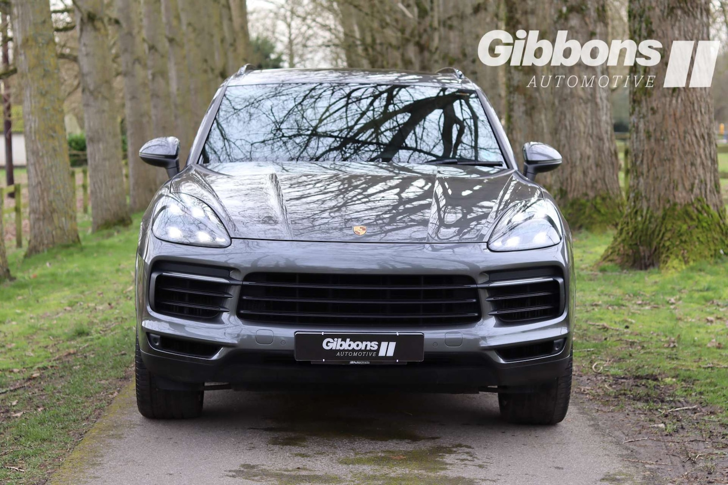 Used Porsche Cayenne 2019 for sale - 77745444: Photo 10