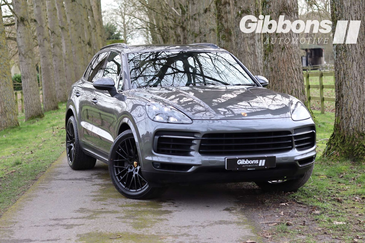 Used Porsche Cayenne 2019 for sale - 77745444: Photo 6