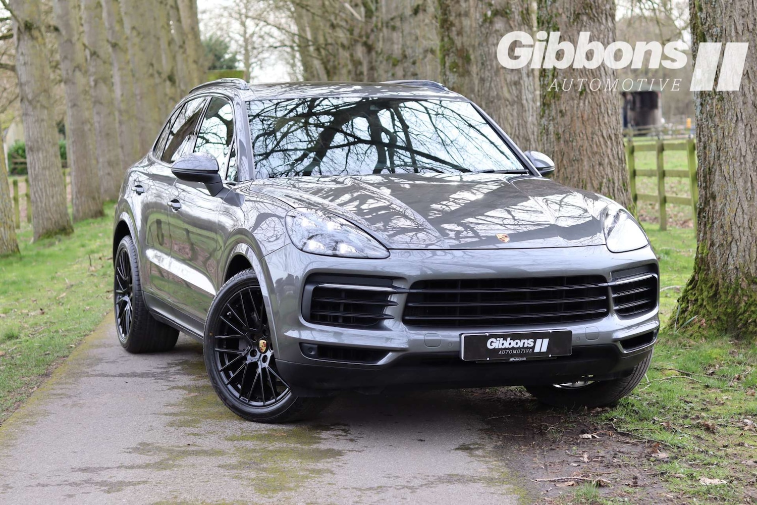 Used Porsche Cayenne 2019 for sale - 77745444: Photo 8