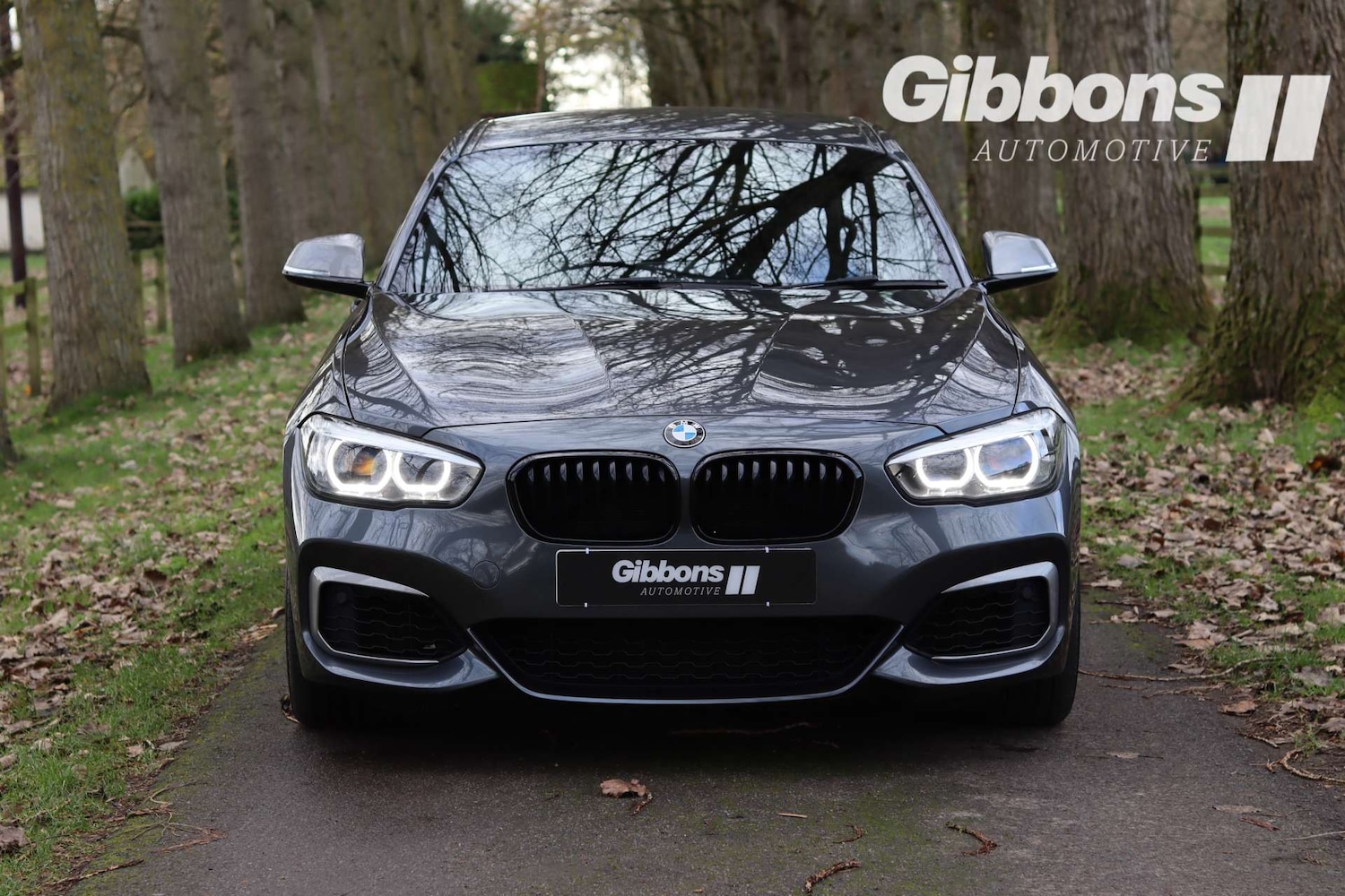 Used BMW 1 Series 2018 for sale - 76531575: Photo 2