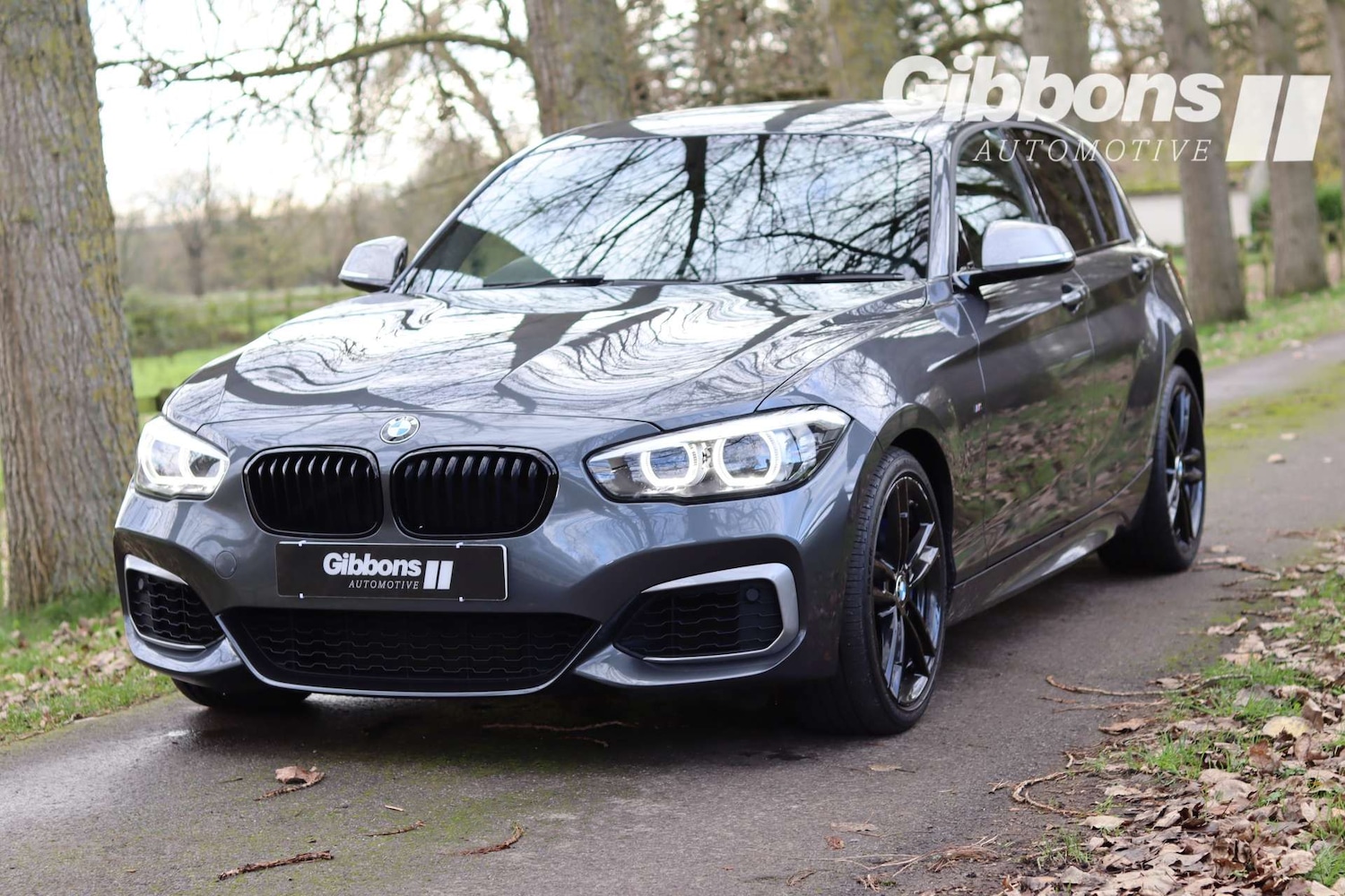 Used BMW 1 Series 2018 for sale - 76531575: Photo 3