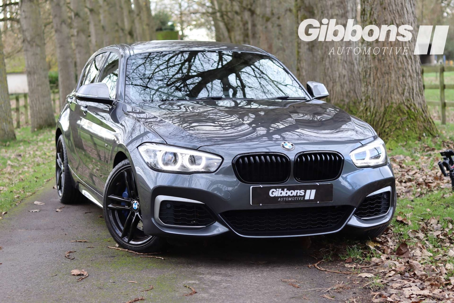 Used BMW 1 Series 2018 for sale - 76531575: Photo 6