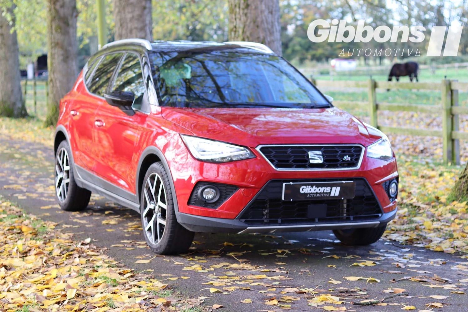 Used SEAT Arona 2019 for sale - 76356058: Photo 6
