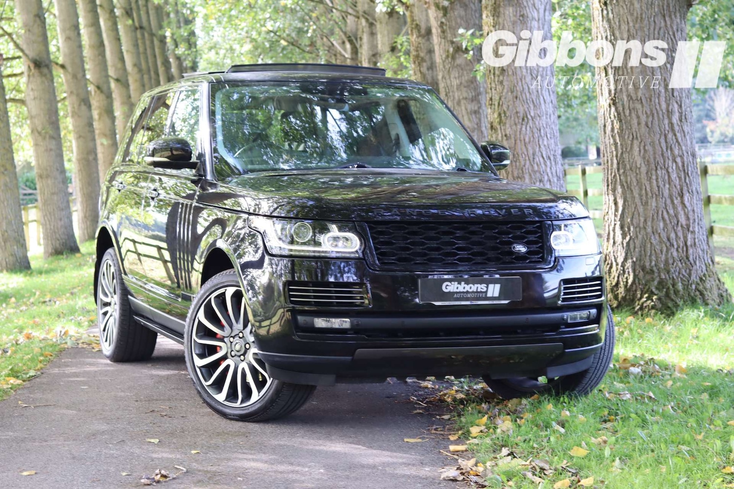 Used Land Rover Range Rover 2015 for sale - 76129219: Photo 6