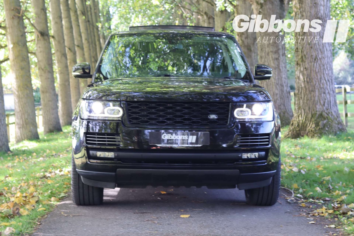 Used Land Rover Range Rover 2015 for sale - 76129219: Photo 9