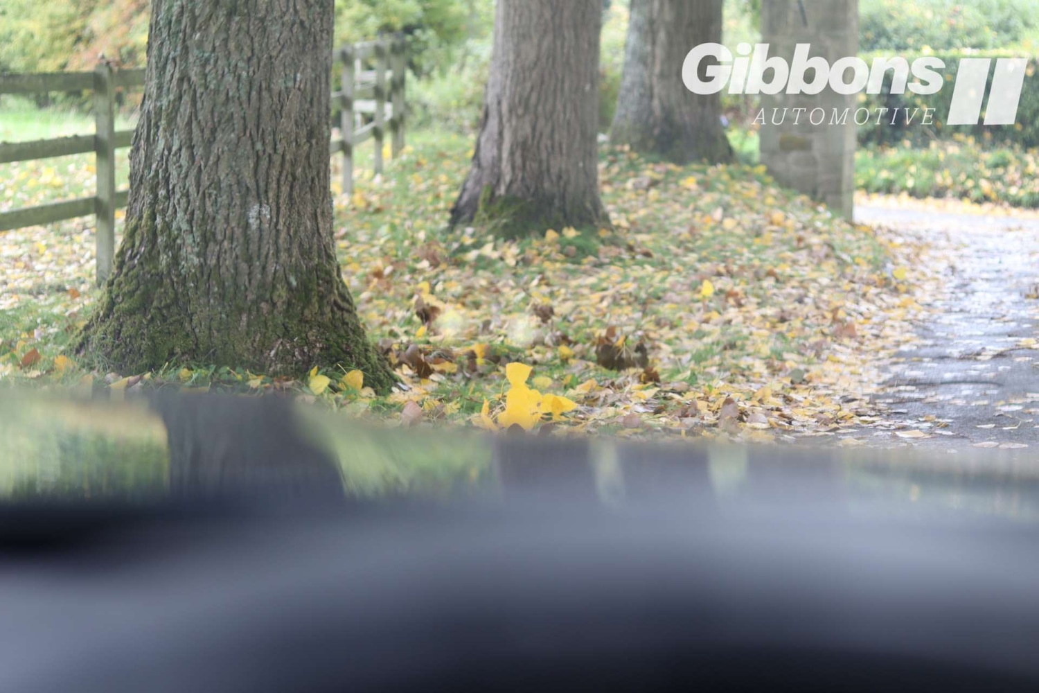 Used BMW 4 Series 2015 for sale - 76404409: Photo 59