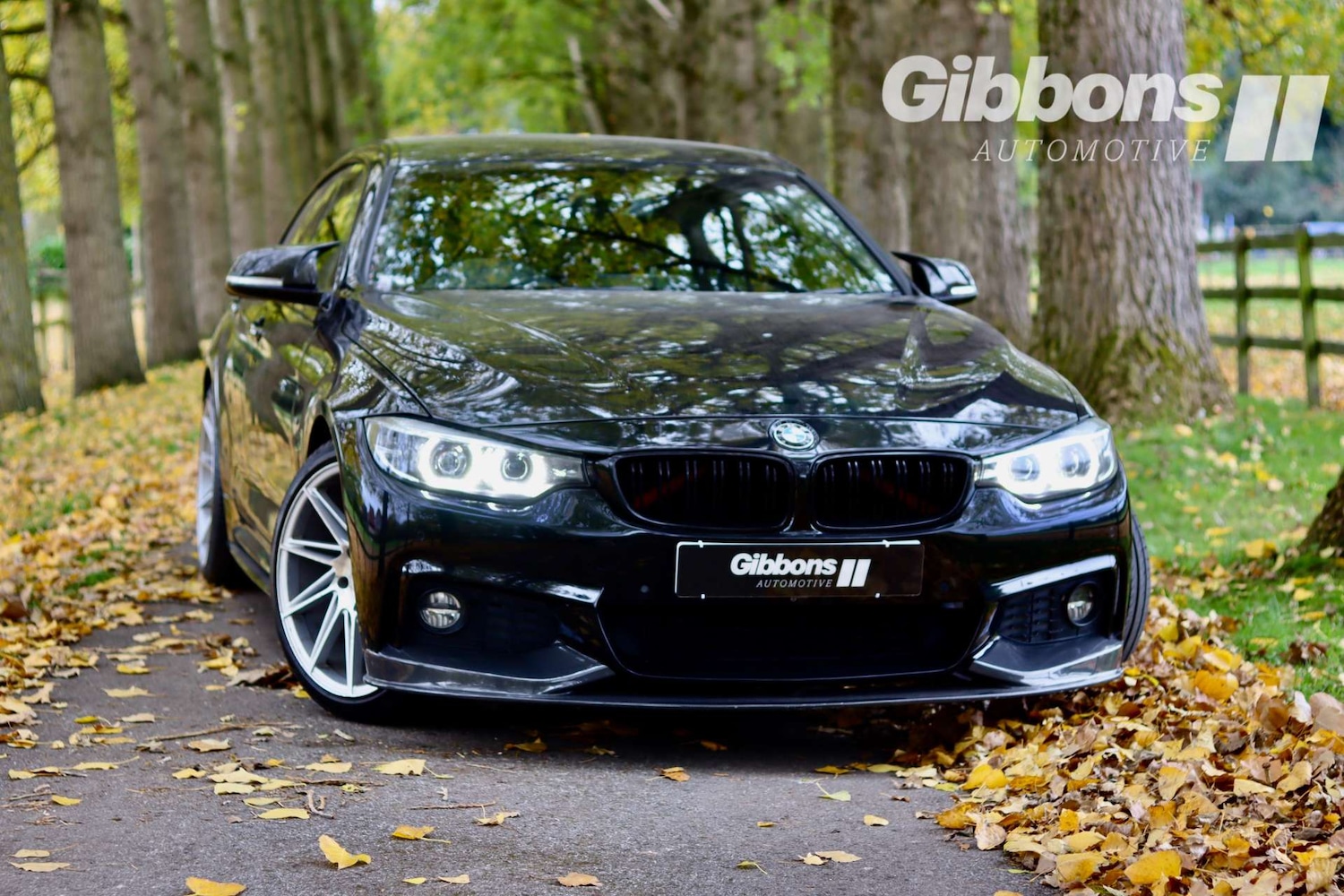 Used BMW 4 Series 2018 for sale - 76830135: Photo 1