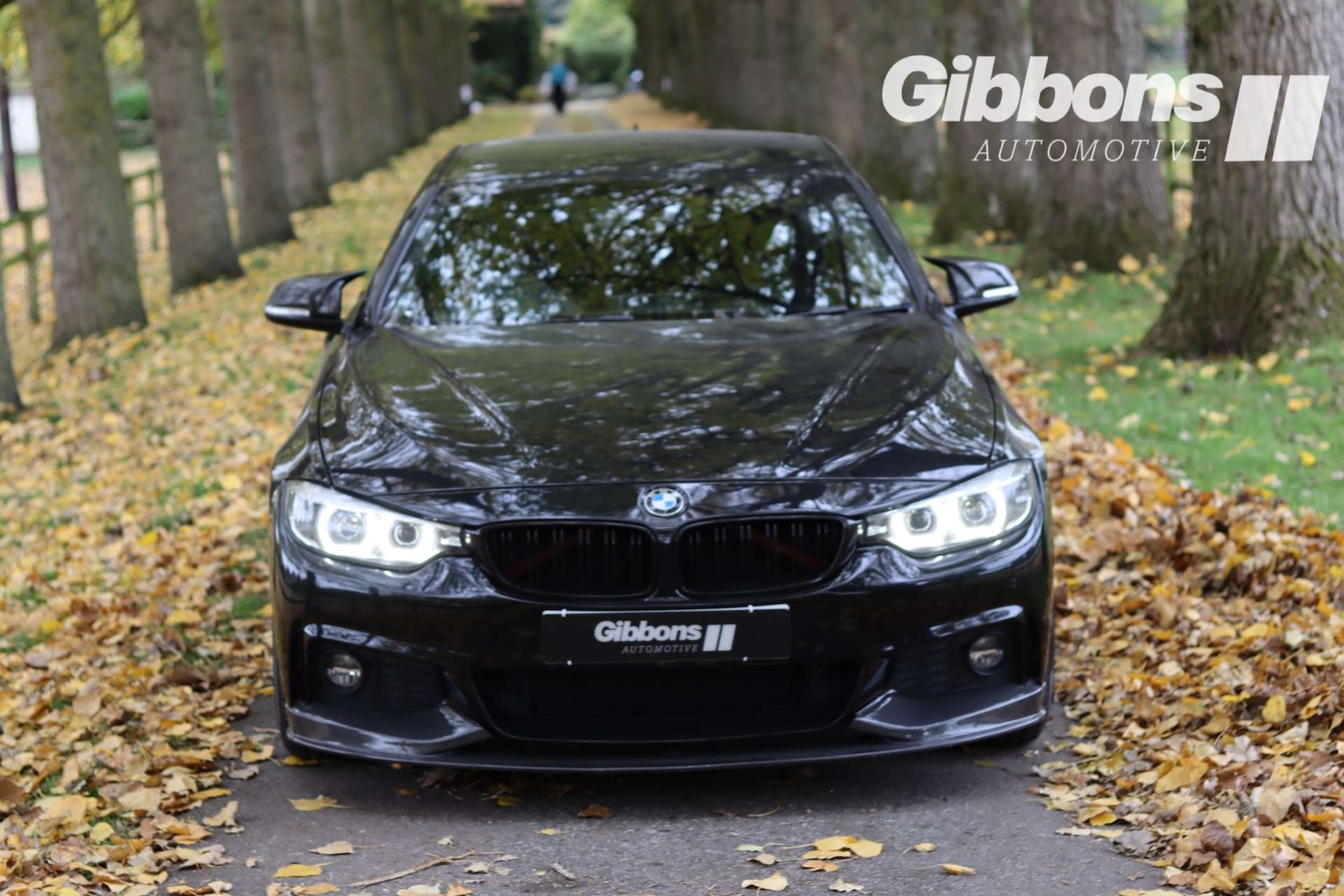 Used BMW 4 Series 2018 for sale - 76830135: Photo 2