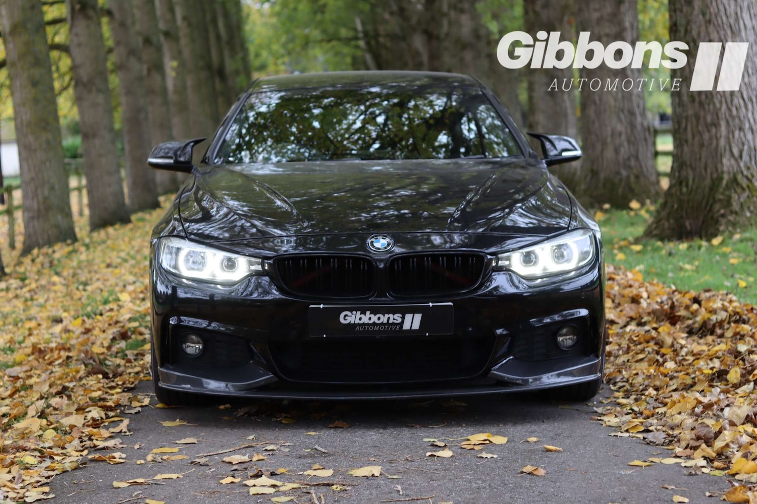 Used BMW 4 Series 2018 for sale - 76830135: Photo 9