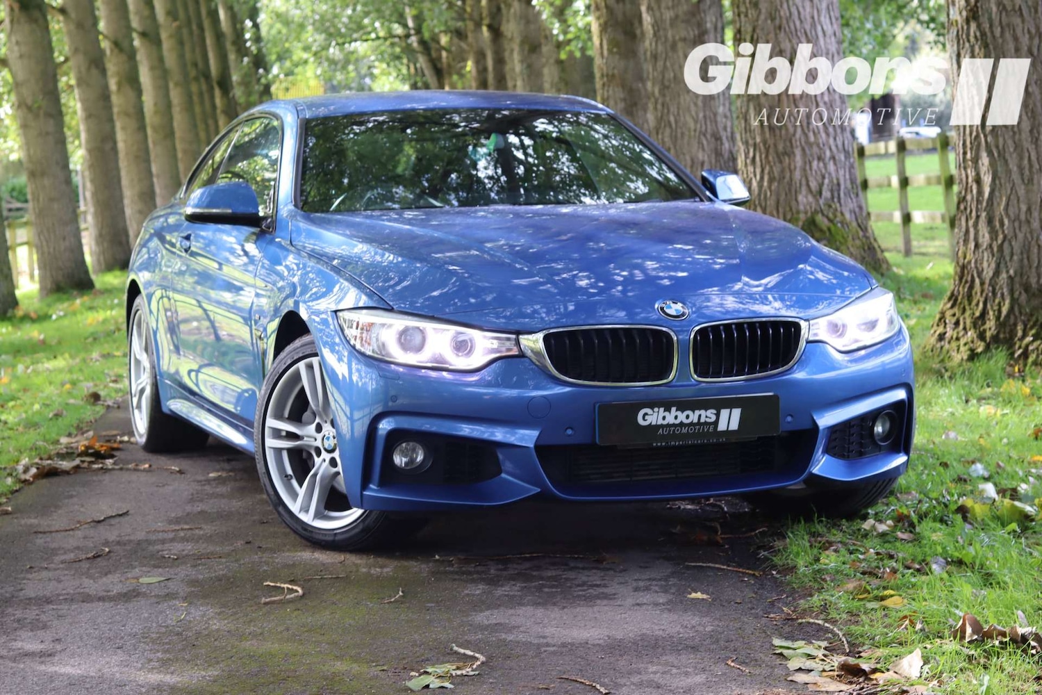 Used BMW 4 Series 2016 for sale - 76278333: Photo 1