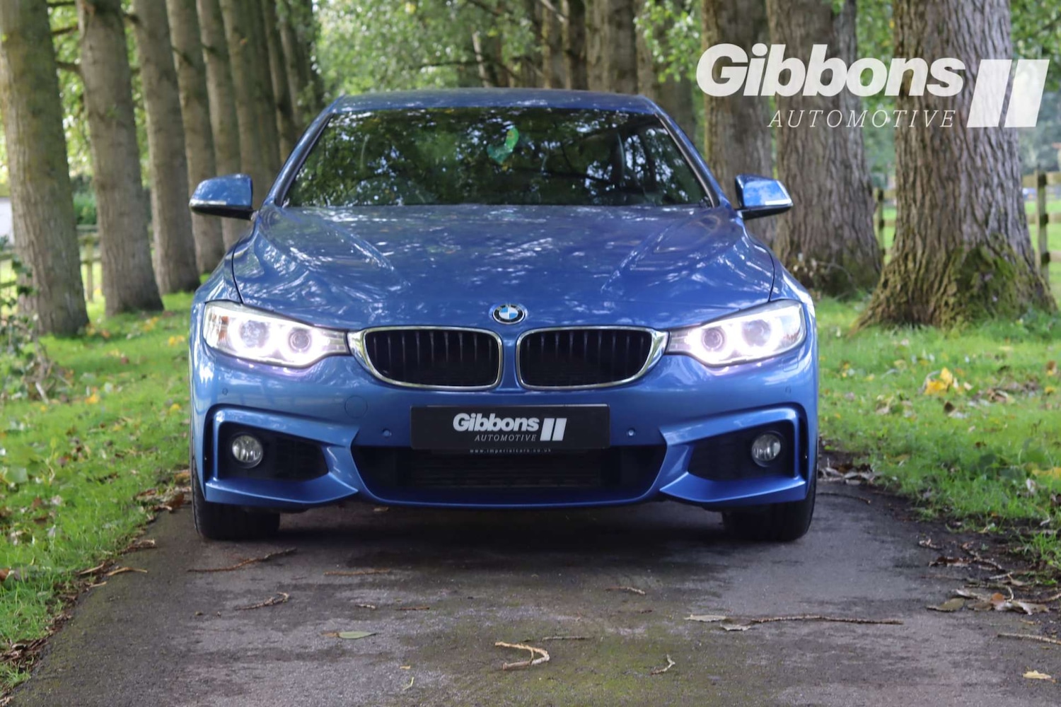 Used BMW 4 Series 2016 for sale - 76278333: Photo 2