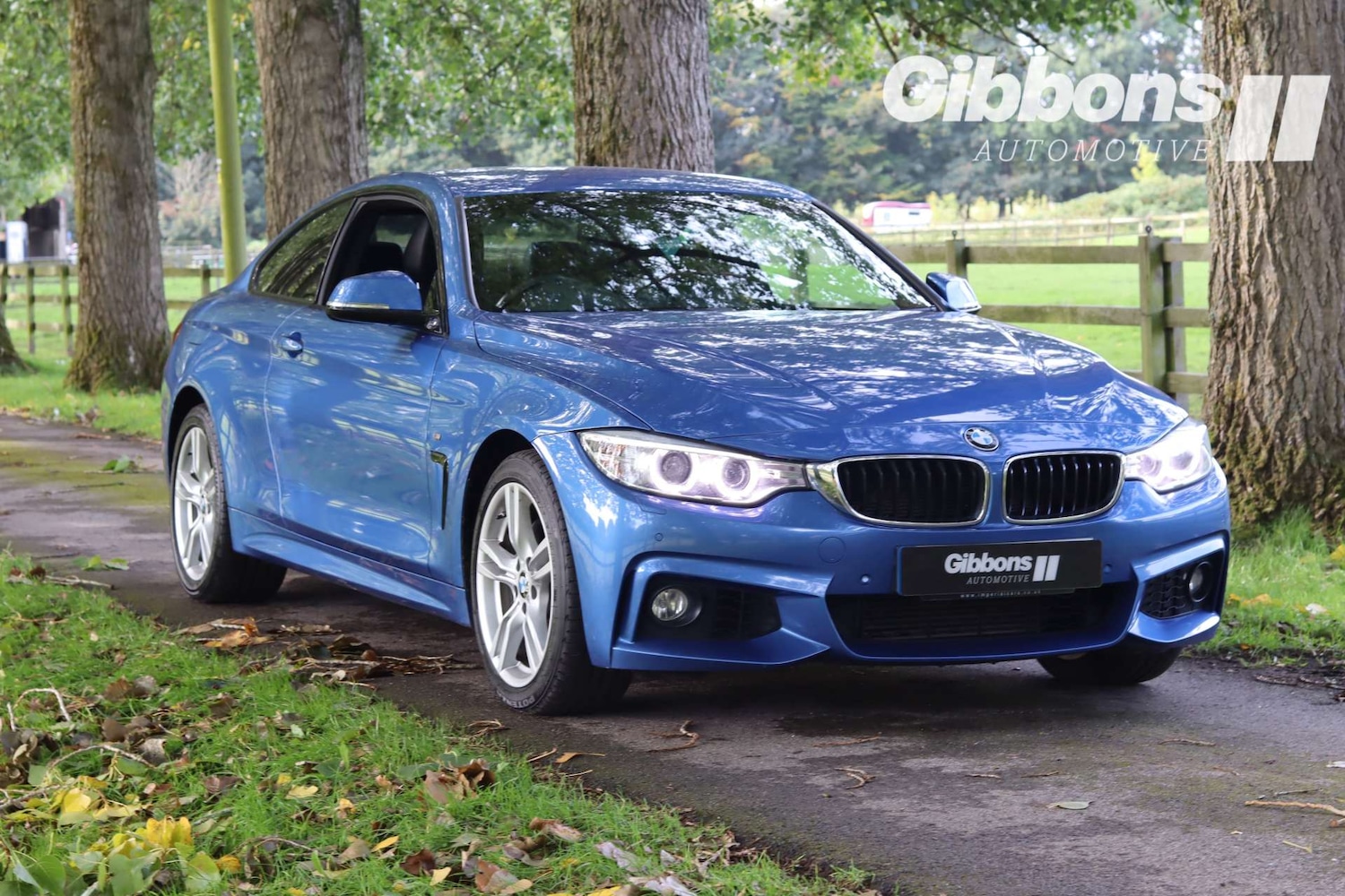 Used BMW 4 Series 2016 for sale - 76278333: Photo 5