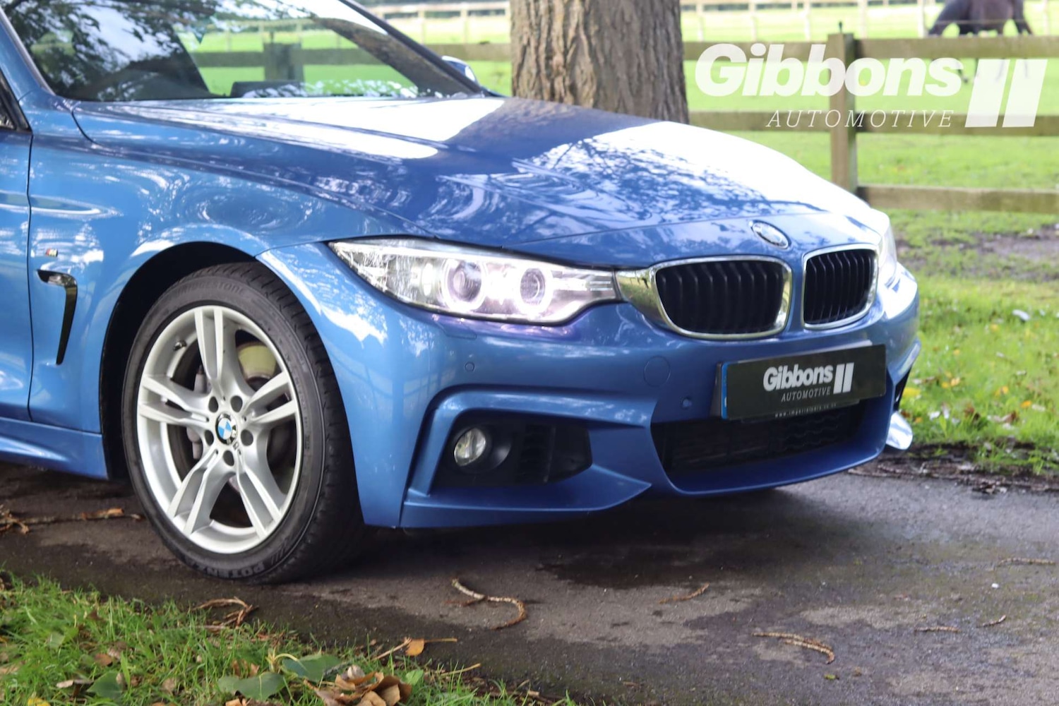 Used BMW 4 Series 2016 for sale - 76278333: Photo 7