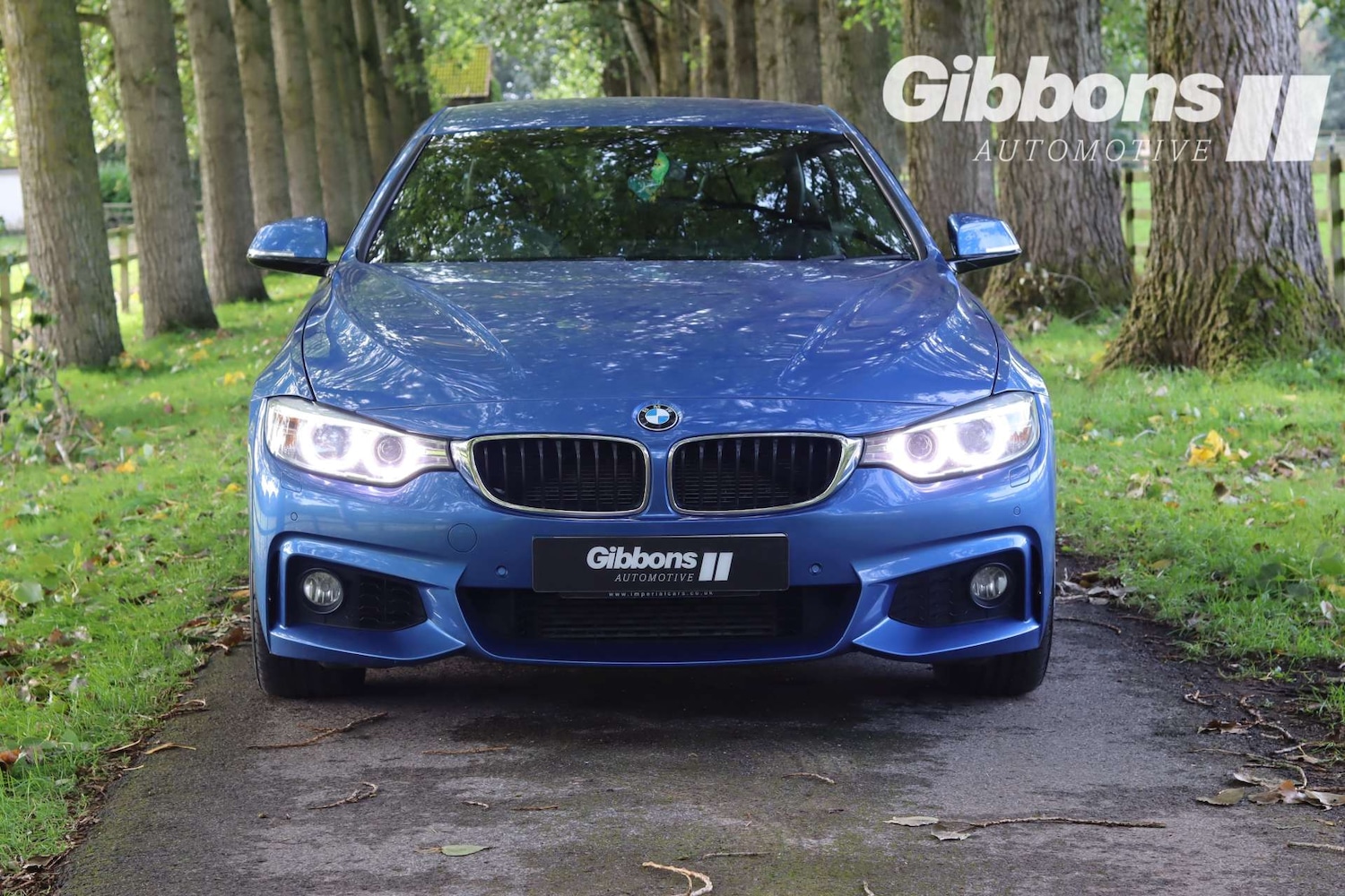 Used BMW 4 Series 2016 for sale - 76278333: Photo 9