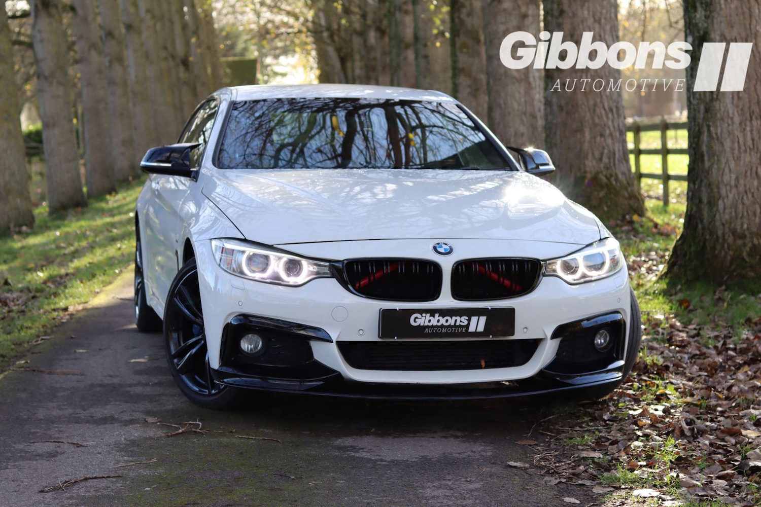 Used BMW 4 Series 2014 for sale - 76530918: Photo 1