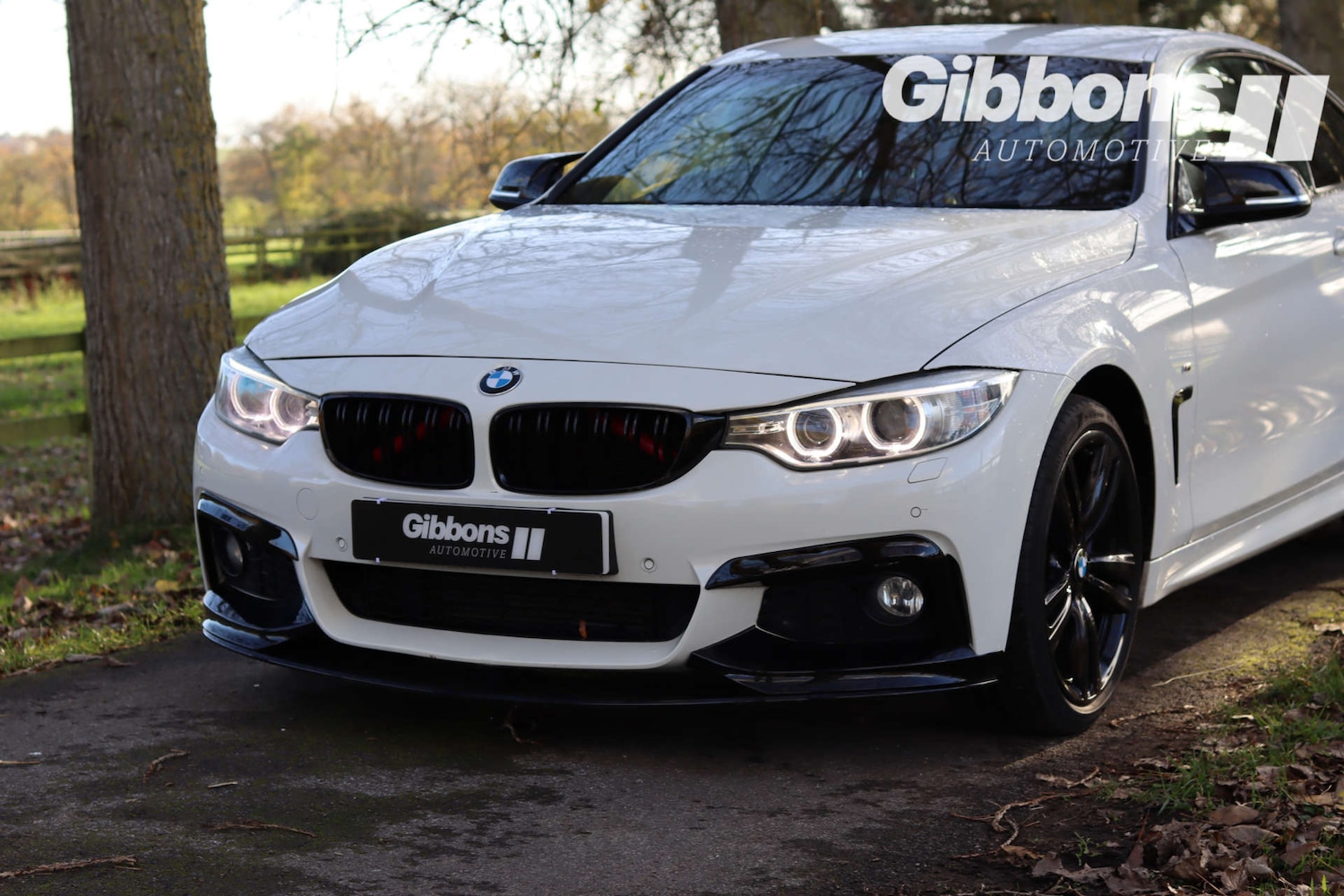 Used BMW 4 Series 2014 for sale - 76530918: Photo 10