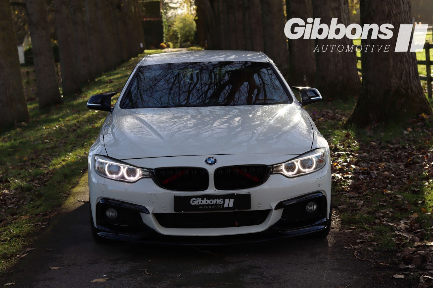 Used BMW 4 Series 2014 for sale - 76530918: Photo 2