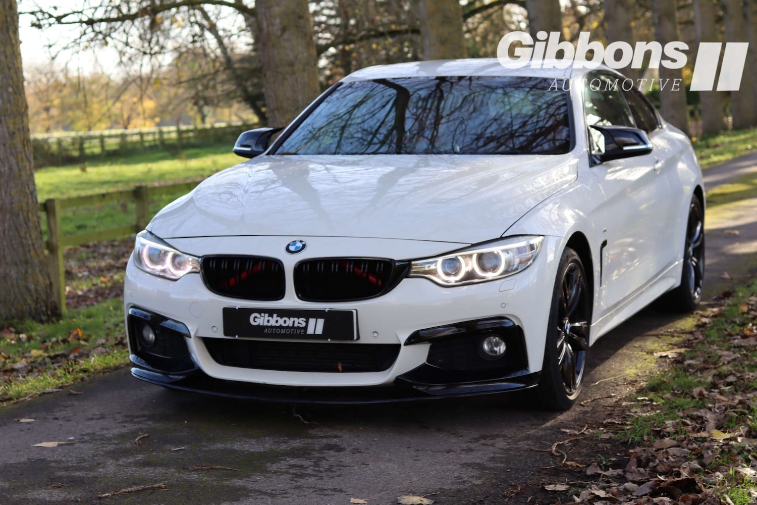 Used BMW 4 Series 2014 for sale - 76530918: Photo 3