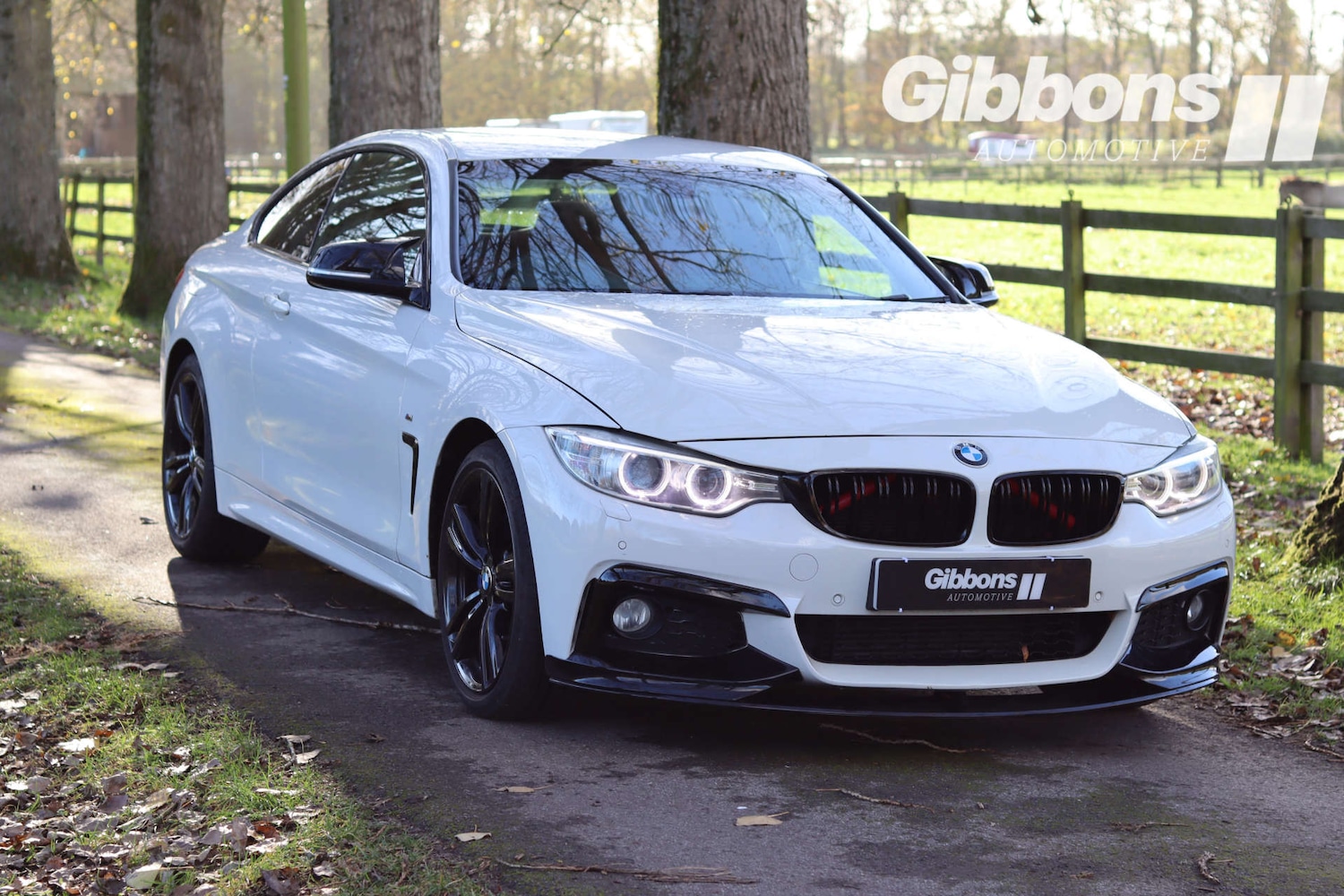 Used BMW 4 Series 2014 for sale - 76530918: Photo 5