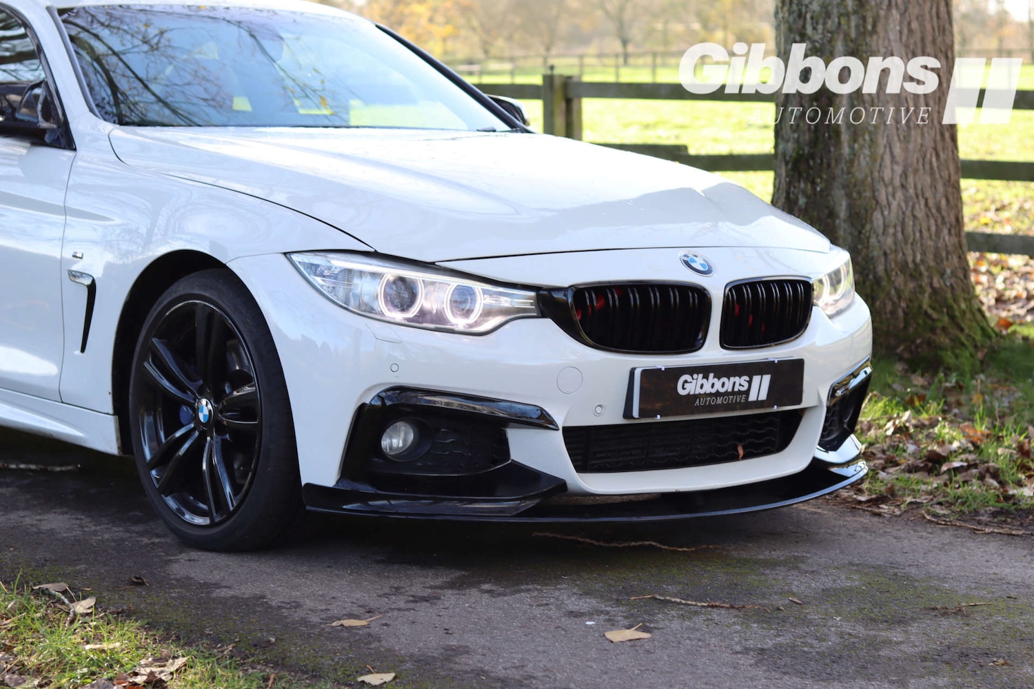 Used BMW 4 Series 2014 for sale - 76530918: Photo 6