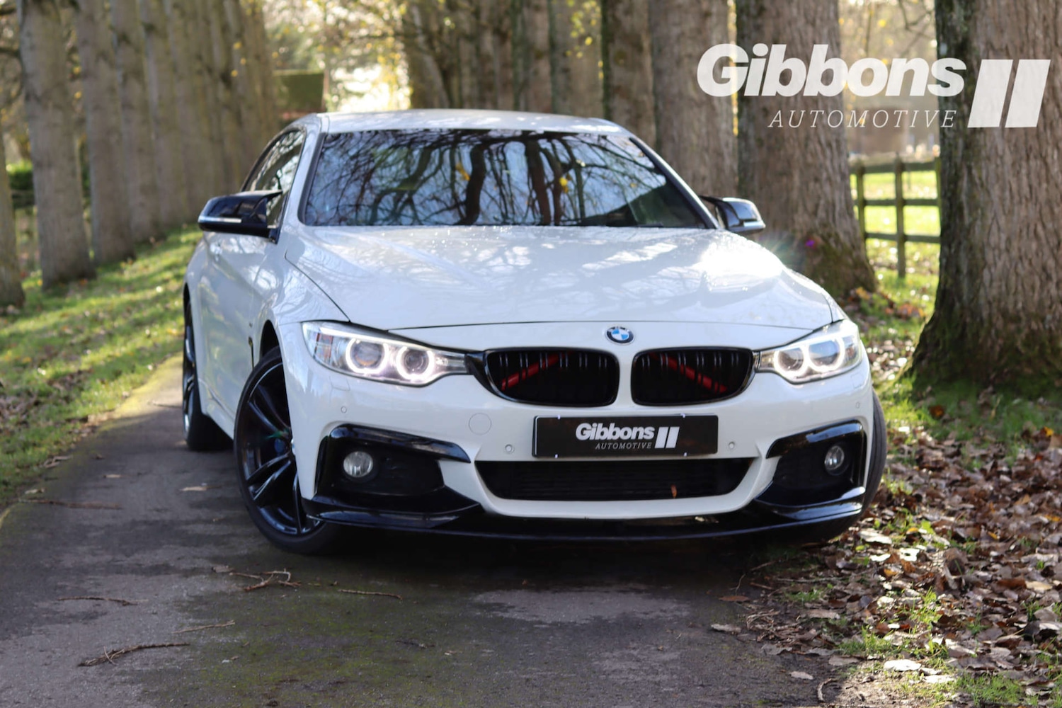 Used BMW 4 Series 2014 for sale - 76530918: Photo 8