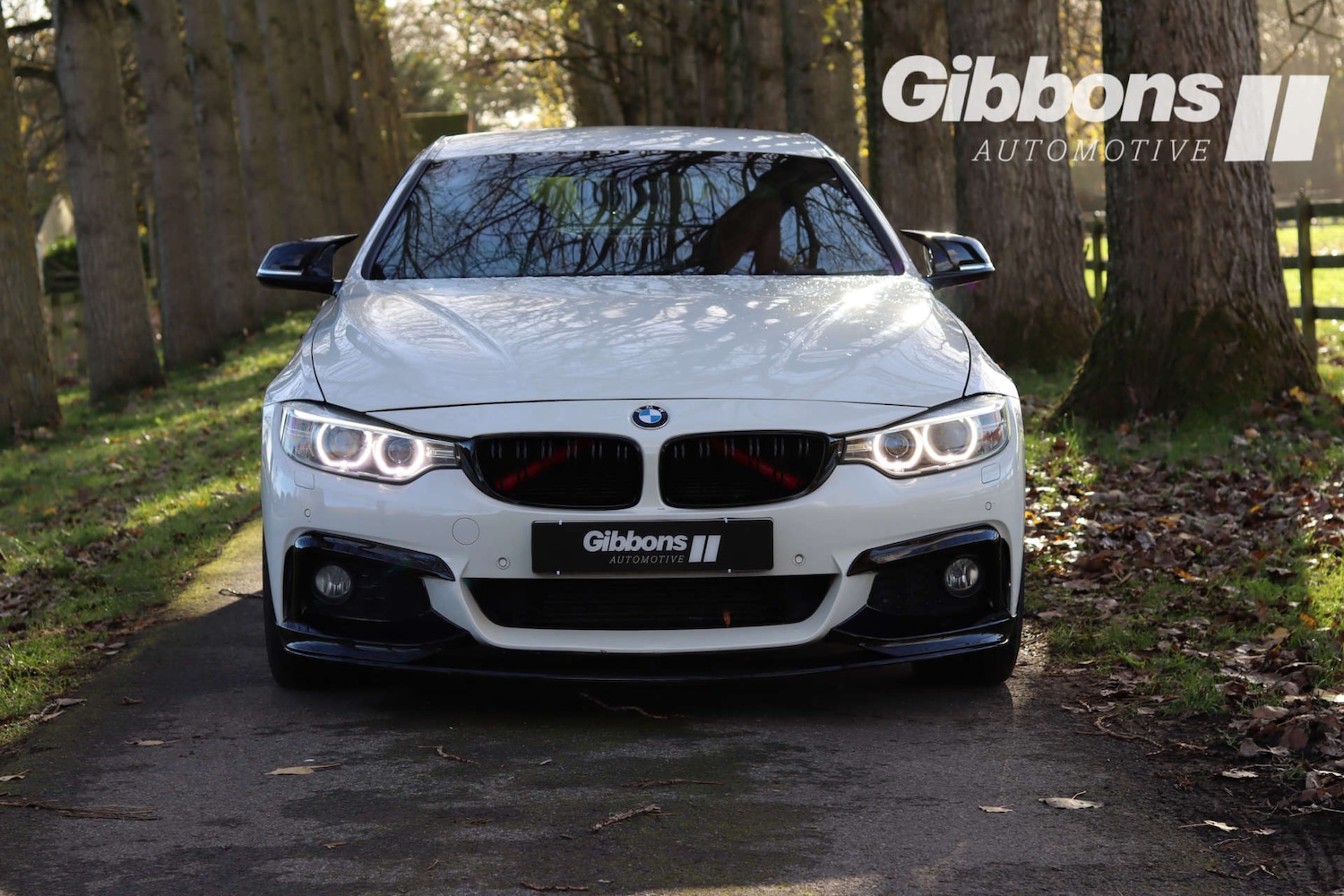 Used BMW 4 Series 2014 for sale - 76530918: Photo 9