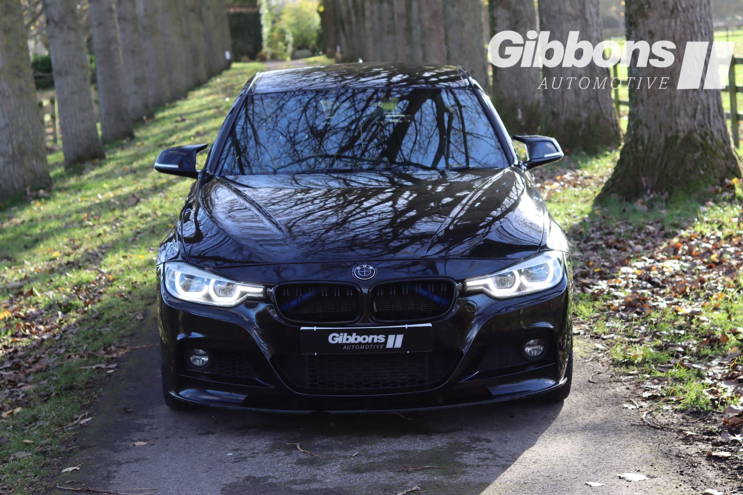 Used BMW 3 Series 2017 for sale - 76530919: Photo 2