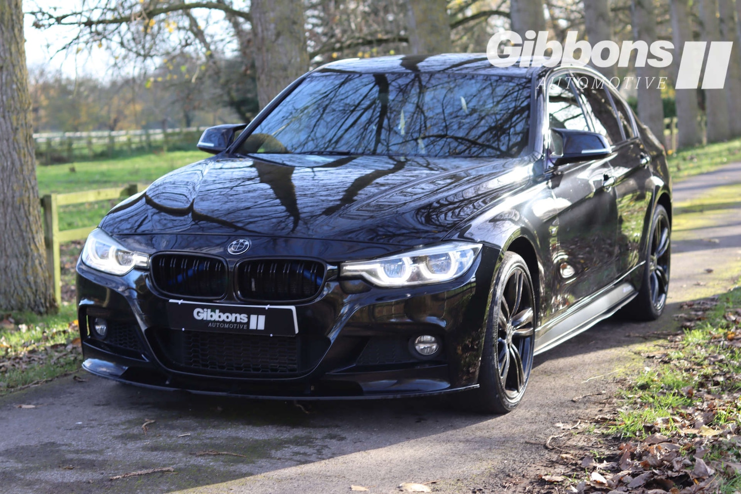 Used BMW 3 Series 2017 for sale - 76530919: Photo 3