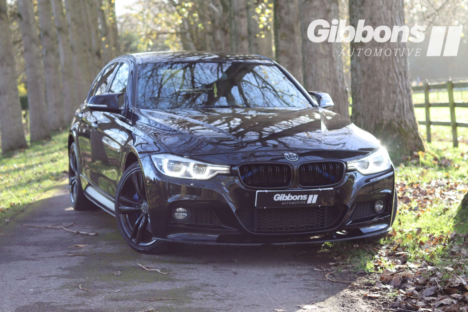 Used BMW 3 Series 2017 for sale - 76530919: Photo 4