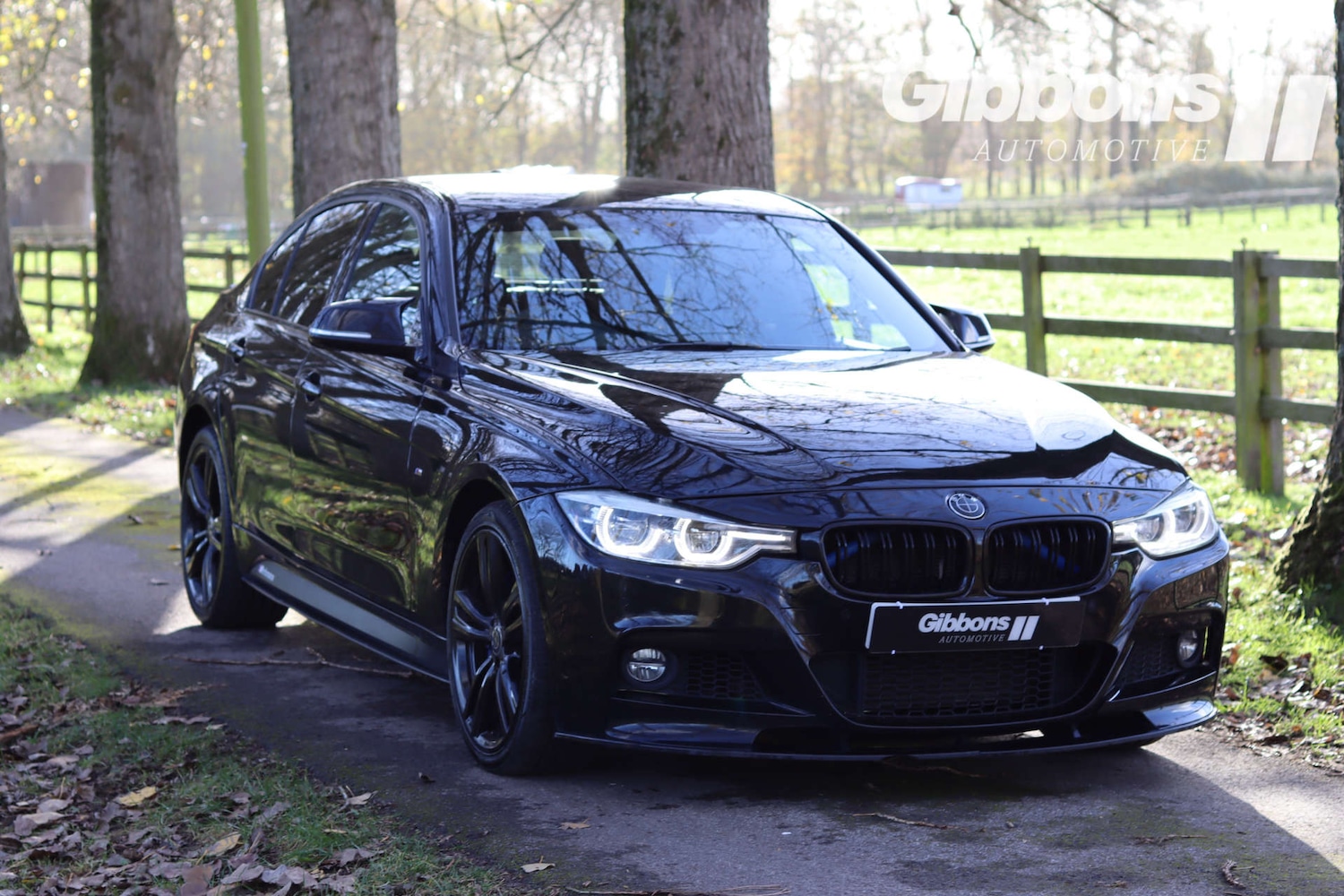 Used BMW 3 Series 2017 for sale - 76530919: Photo 5