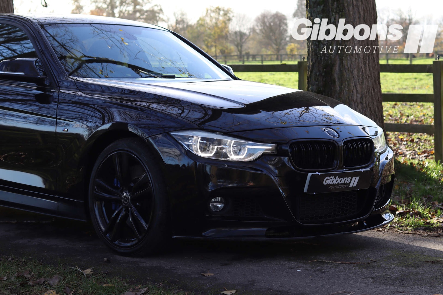 Used BMW 3 Series 2017 for sale - 76530919: Photo 6