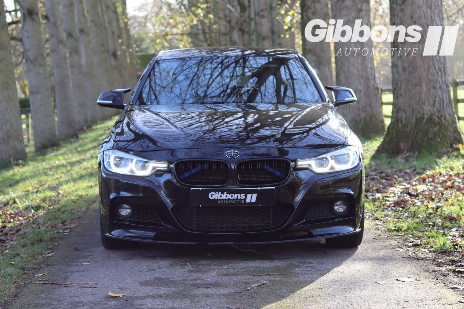 Used BMW 3 Series 2017 for sale - 76530919: Photo 8