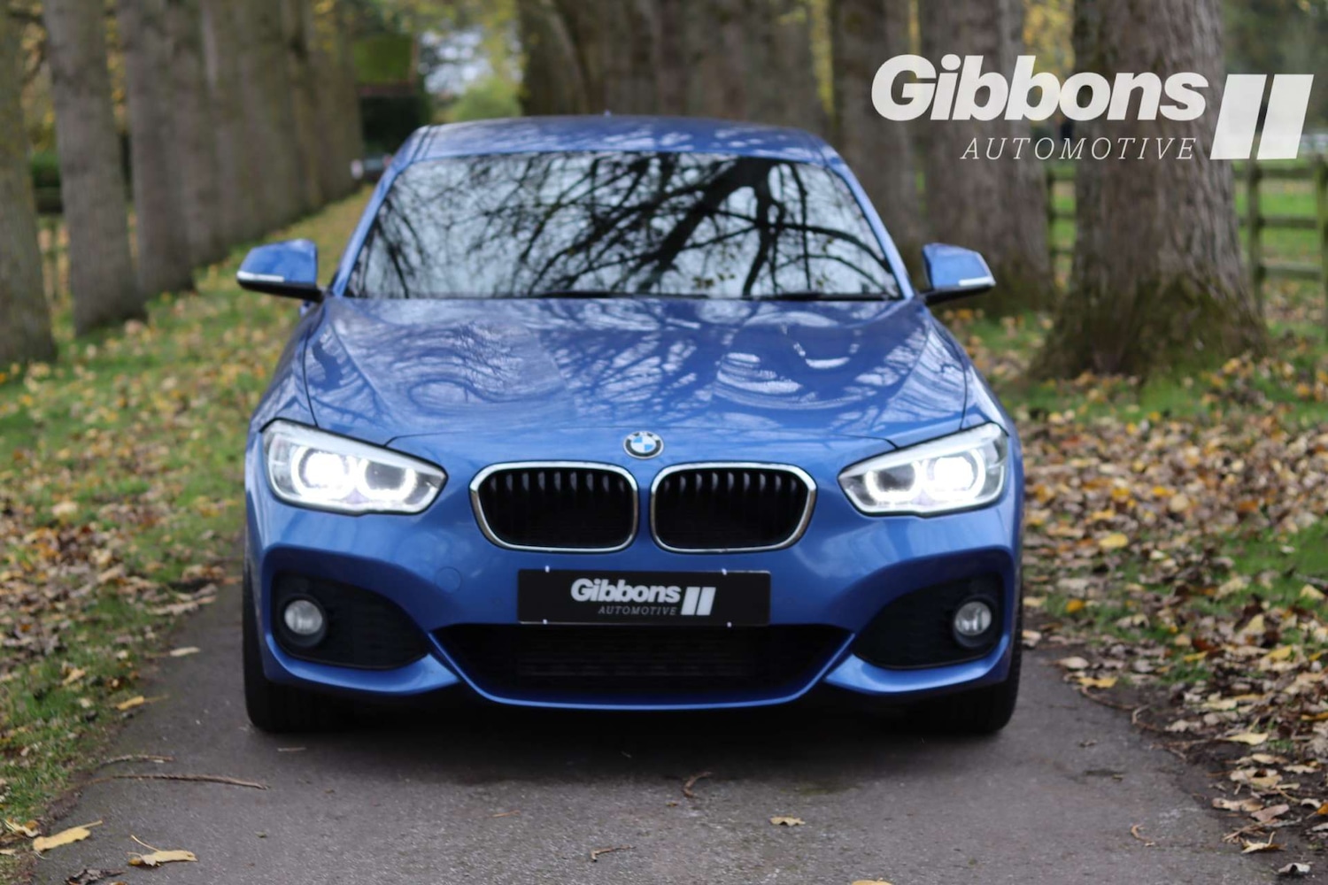 Used BMW 1 Series 2016 for sale - 76481449: Photo 2