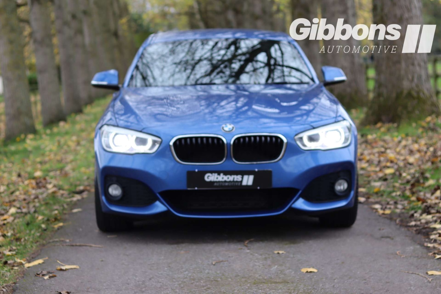 Used BMW 1 Series 2016 for sale - 76481449: Photo 8