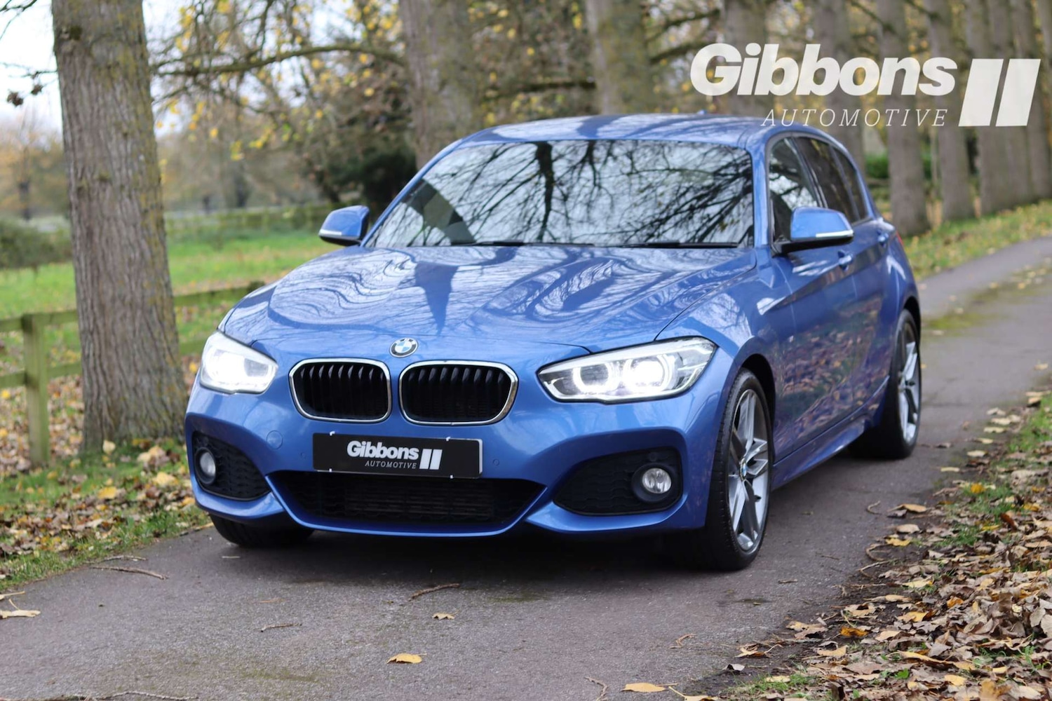 Used BMW 1 Series 2016 for sale - 76481449: Photo 9