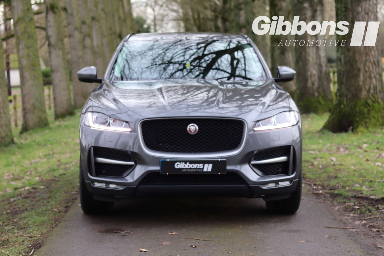 Used Jaguar F-Pace 2017 for sale - 77139238: Photo 10
