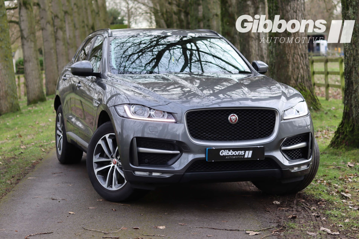Used Jaguar F-Pace 2017 for sale - 77139238: Photo 8