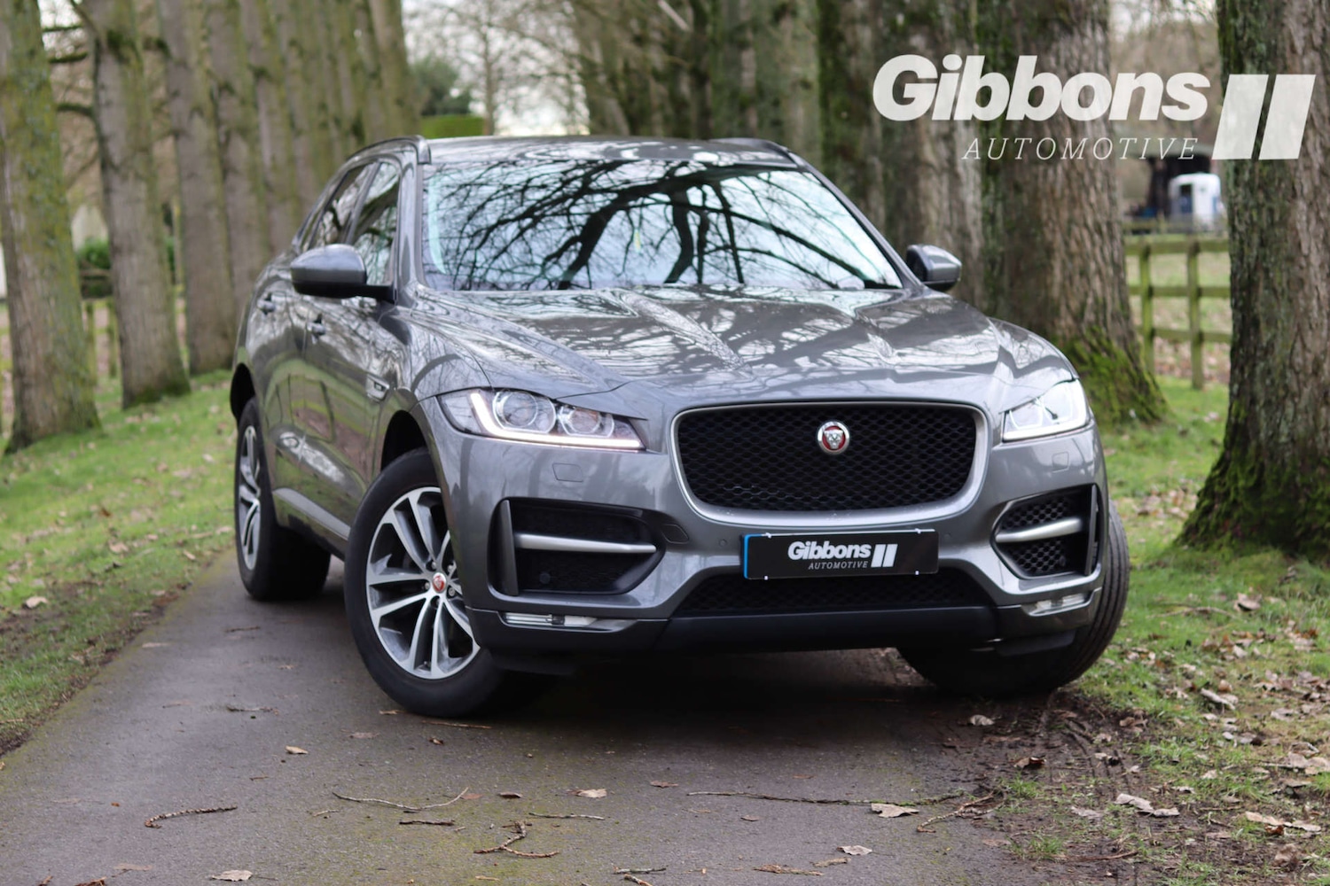 Used Jaguar F-Pace 2017 for sale - 77139238: Photo 9