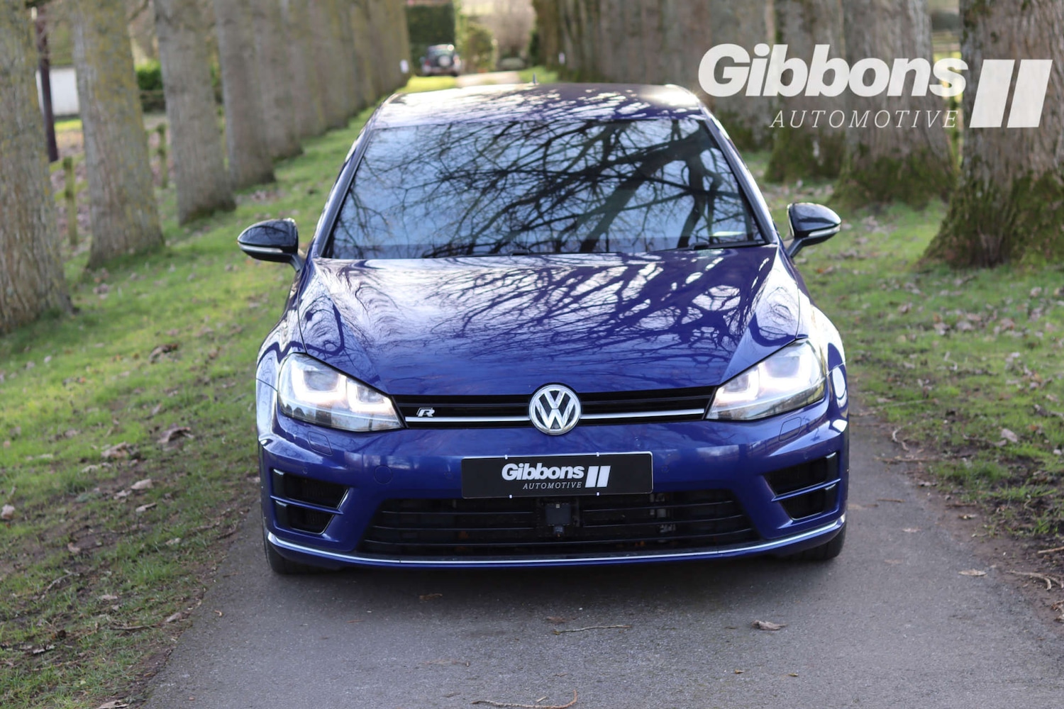 Used Volkswagen Golf 2017 for sale - 77059882: Photo 20